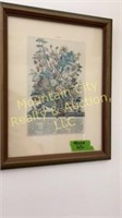 Framed botanical prints-pair-10x13