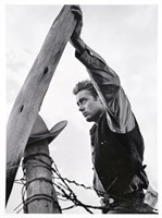 JAMES DEAN, Frank Worth Image