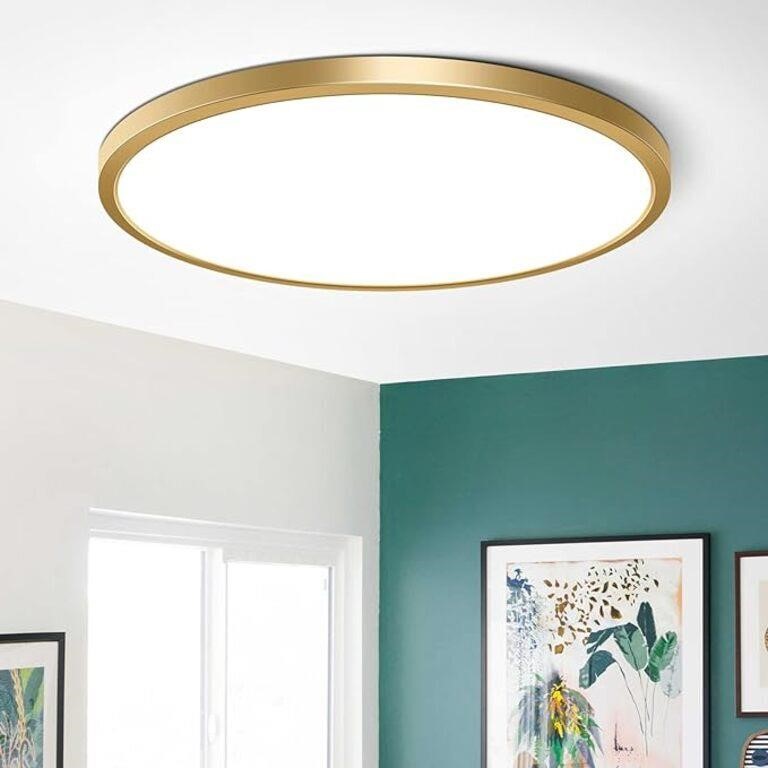 15.7Inch Gold Flush Mount Ceiling Light Fixture,