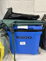 Igloo cooler with bag and portable seat
