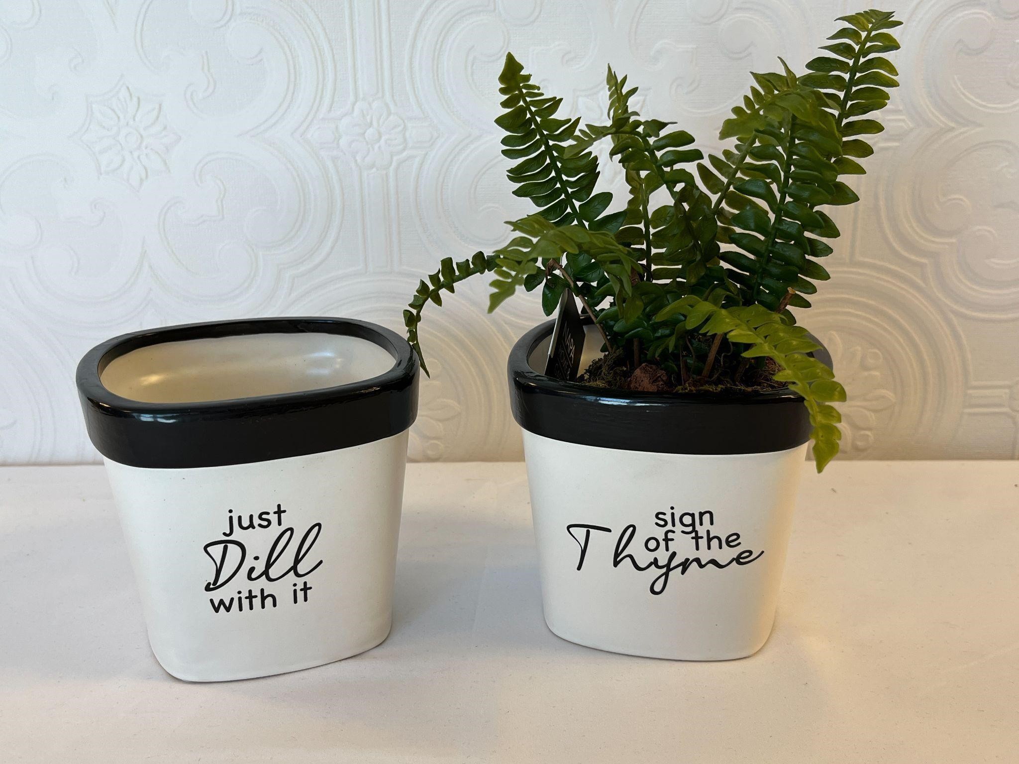 New Set of 2 Planters & 1 Drop-in Plant