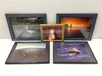 Five Framed Nature Prints