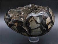 7 POUND SEPTARIAN DRAGON EGG ROCK STONE LAPIDARY S