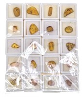 (120+) Insects In Amber Fossil/ Burmite Specimens