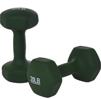 $66 20lbs Workout Dumbbell Set of 2