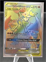 Pokémon tag team Charizard And BRAIXEN