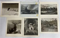 6 Wildlife Animal Prints Various Sizes
