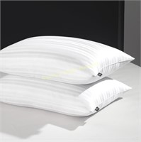 Goose Feather Down Pillow - Set of 2, (20x28)
