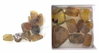 (100+) Fossil Insects In Burmite Amber