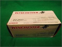 Wiinchester 40 round Value pack of 22-250 Rem.