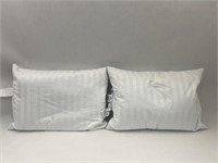 2 Grand Haven Feather Pillows
