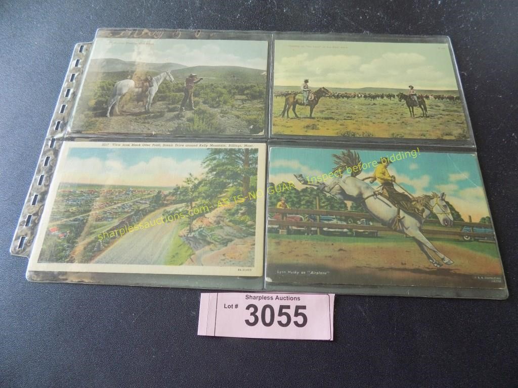 Four early 1900 Rodeo Western Cowboy postcards