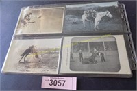 Four early 1900 Rodeo Western Cowboy postcards