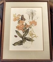 Anne Ophelia S=Dowden Butterfly weed print
