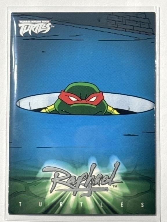 2003 Fleer TMNT #34 Raphael Fact Card!