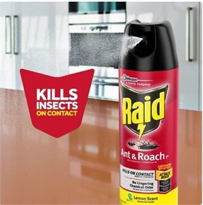 Raid Defend Indoor Roach & Ant Killer Bug Spray