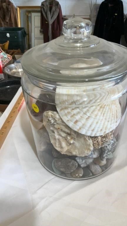 Rocks and shells in jar