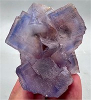 242 Gm Beautiful Natural Blue Phantom Fluorite