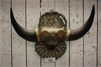 MOUNTED HORNS