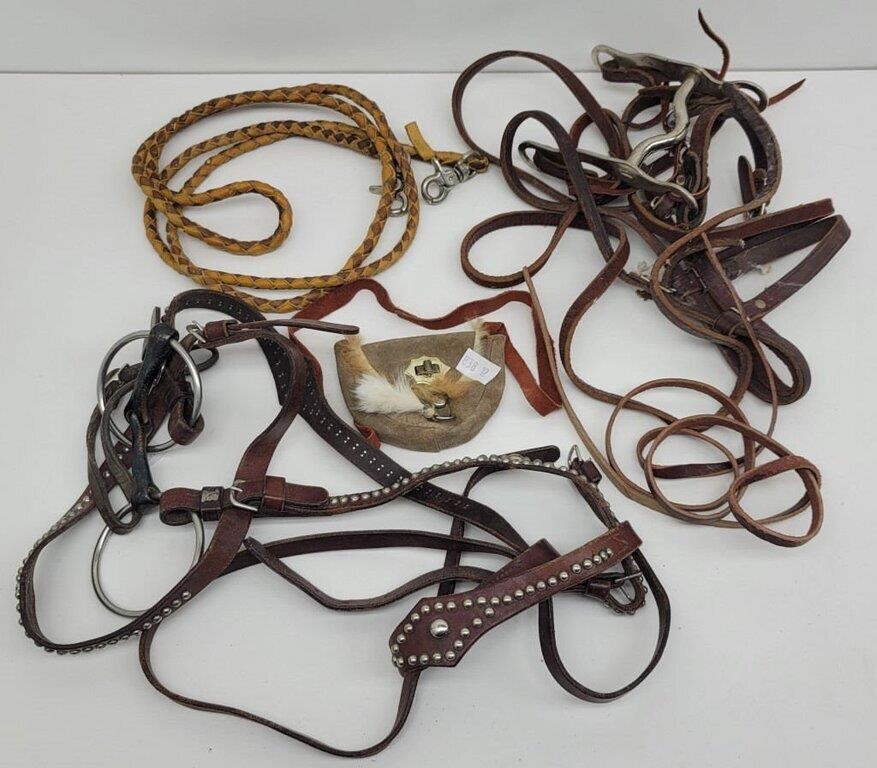 Horse Tack - Bridle - Reins - Lead  & More