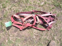 Horse Halters, Large & Full