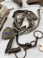 Whip & Old Harness