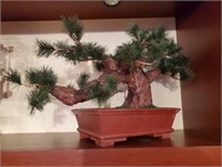 Silk Bonsai Tree