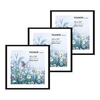 PAXNOK Black 20x20 Picture Frame 16x16 with Mat,