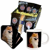 3dRose Dogs Pomeranian, Pomeranian portrait, Coffe