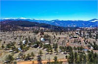 408 Irwin Dr, Florissant, CO 80816