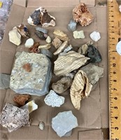 Shoebox full of fossils and specimens