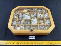 Display Box w/ Sea Shells