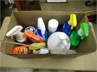 Cleaning Supplies, Bleach, Bleach Foamer, Bathroom