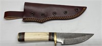 Damascus Steel Knife with Leather Sheath