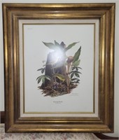Signed framed Ray Harm "Kentucky Warbler" print