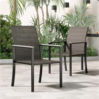 Farini Outdoor Dining Chairs Set of 2