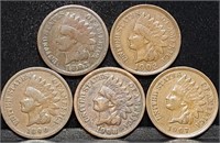 5 Nice Indian Head Pennies