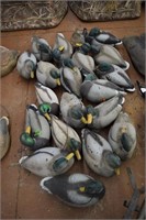 Duck decoys