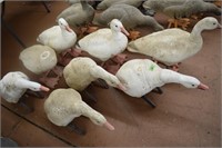 Snow geese decoys