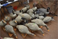 Geese decoys