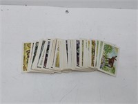 66 Nabisco 1958 Exotic animal cards -  very rare