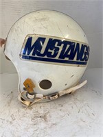 Friendswood, Texas high school football helmet