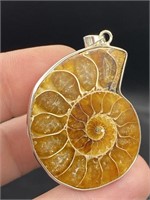 Ammonite, Fossil, Rock, Natural, Collectible, Jewe