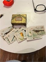 28 Vintage Bird Watchers Cards with Box