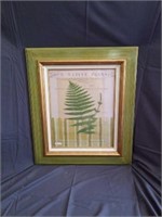 Beautiful framed fern print picture