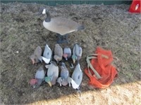 9 Duck Decoys & One Goose