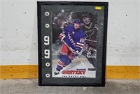 Wayne Gretzky, the Great One picture/frame,