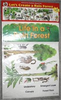 54pc Life in A Rain Forest Bulletin Board Set NEW