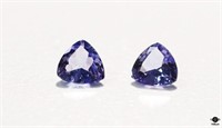 Tanzanite Gemstones 2pc