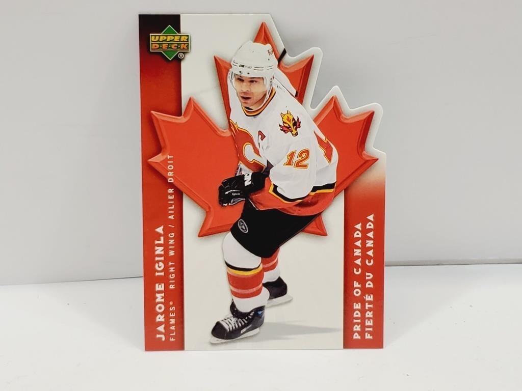 Jarome Ignila 2007 Die Cut Hockey Card